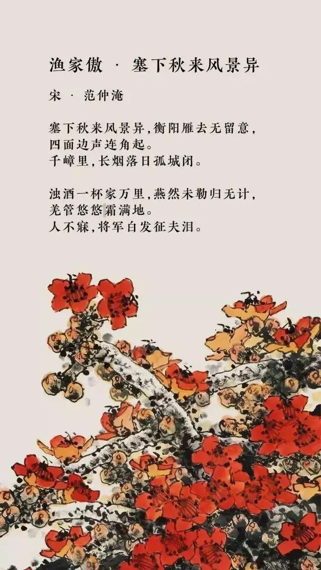 瘦骨如柴的小流浪狗,一分钟就吃完一盆饭,然后满怀期待的看着我